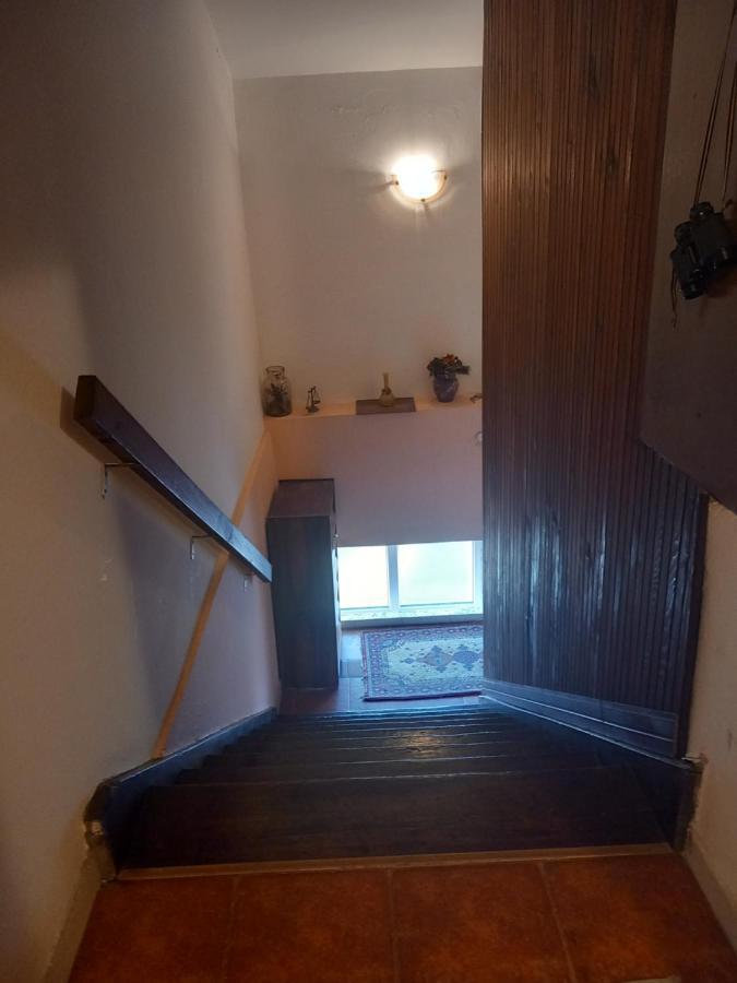Cosy Rooftop Studio With Balcony Belgrade Exterior photo