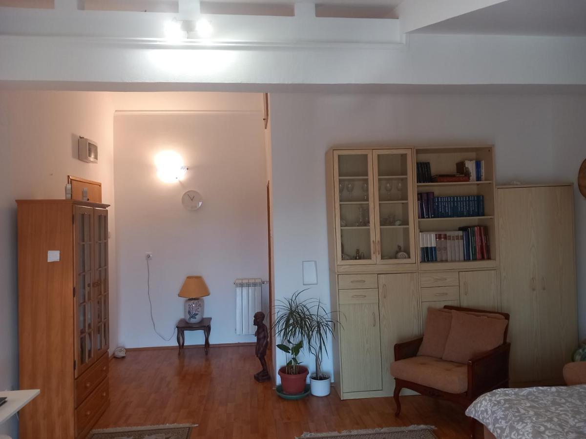 Cosy Rooftop Studio With Balcony Belgrade Exterior photo
